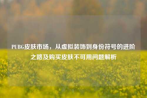PUBG皮肤市场，从虚拟装饰到身份符号的进阶之路及购买皮肤不可用问题解析