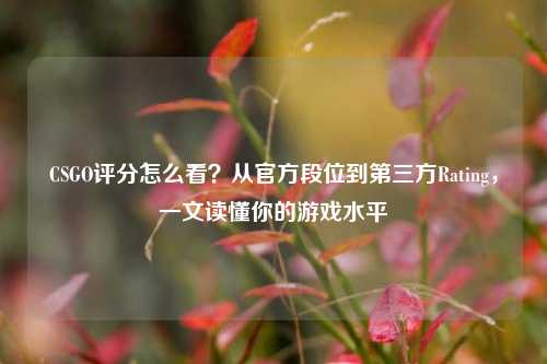 CSGO评分怎么看？从官方段位到第三方Rating，一文读懂你的游戏水平
