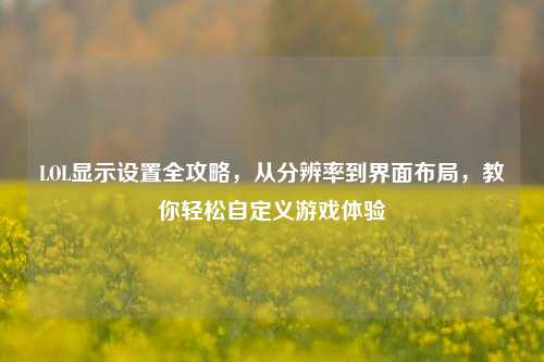 LOL显示设置全攻略，从分辨率到界面布局，教你轻松自定义游戏体验