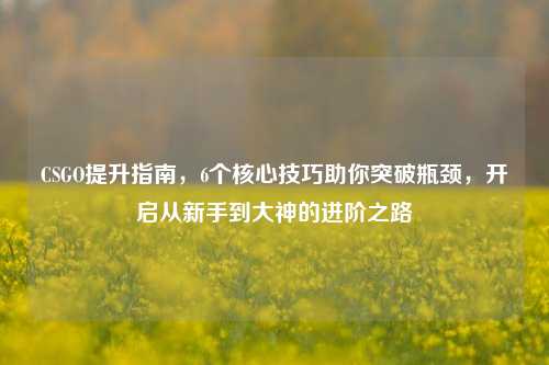 CSGO提升指南，6个核心技巧助你突破瓶颈，开启从新手到大神的进阶之路