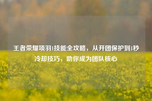 王者荣耀项羽1技能全攻略，从开团保护到1秒冷却技巧，助你成为团队核心