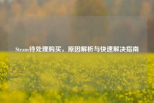 Steam待处理购买，原因解析与快速解决指南