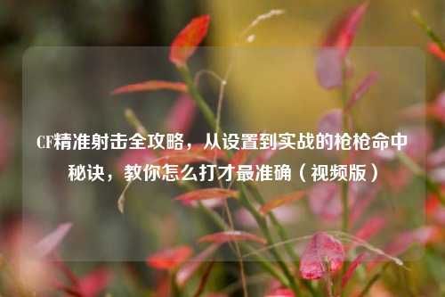 CF精准射击全攻略，从设置到实战的枪枪命中秘诀，教你怎么打才最准确（视频版）