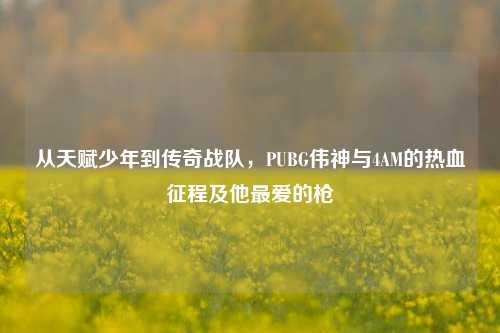 从天赋少年到传奇战队，PUBG伟神与4AM的热血征程及他更爱的枪
