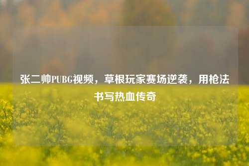 张二帅PUBG视频，草根玩家赛场逆袭，用枪法书写热血传奇