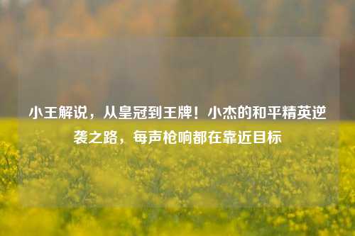 小王解说，从皇冠到王牌！小杰的和平精英逆袭之路，每声枪响都在靠近目标