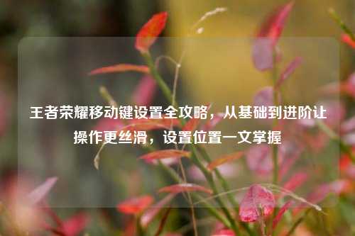 王者荣耀移动键设置全攻略，从基础到进阶让操作更丝滑，设置位置一文掌握
