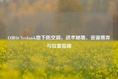 COD16 Verdansk地下防空洞，战术秘境、资源博弈与位置指南