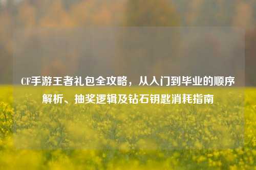 CF手游王者礼包全攻略，从入门到毕业的顺序解析、抽奖逻辑及钻石钥匙消耗指南