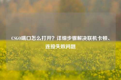 CSGO端口怎么打开？详细步骤解决联机卡顿、连接失败问题