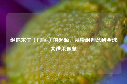 绝地求生（PUBG）的起源，从模组创意到全球大逃杀现象