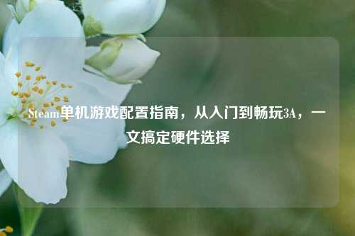 Steam单机游戏配置指南，从入门到畅玩3A，一文搞定硬件选择