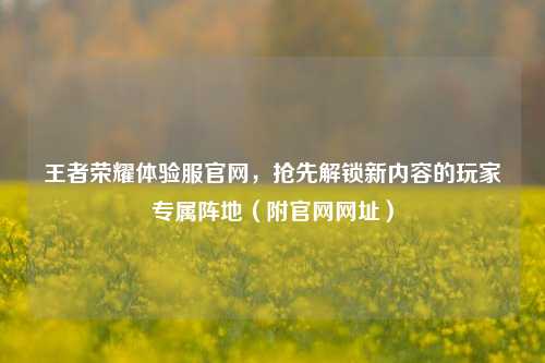王者荣耀体验服官网，抢先解锁新内容的玩家专属阵地（附官网网址）