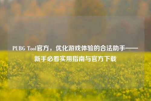 PUBG Tool官方，优化游戏体验的合法助手——新手必看实用指南与官方下载