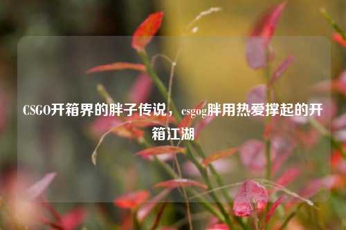 CSGO开箱界的胖子传说，csgog胖用热爱撑起的开箱江湖