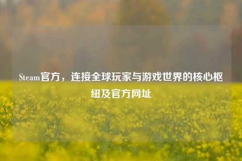 Steam官方，连接全球玩家与游戏世界的核心枢纽及官方网址