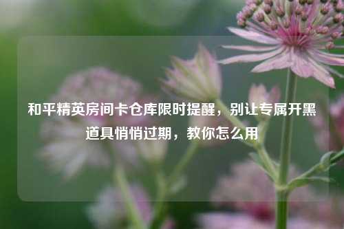 和平精英房间卡仓库限时提醒，别让专属开黑道具悄悄过期，教你怎么用