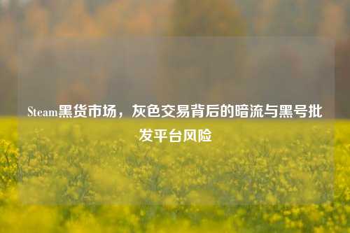 Steam黑货市场，灰色交易背后的暗流与黑号批发平台风险