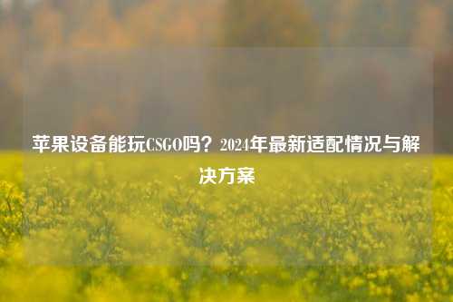 苹果设备能玩CSGO吗？2024年最新适配情况与解决方案