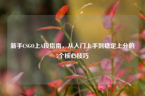 新手CSGO上A段指南，从入门上手到稳定上分的5个核心技巧