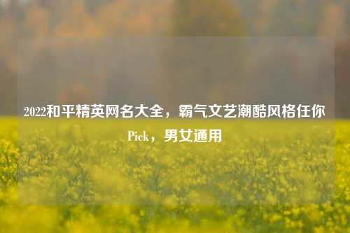 2022和平精英网名大全，霸气文艺潮酷风格任你Pick，男女通用