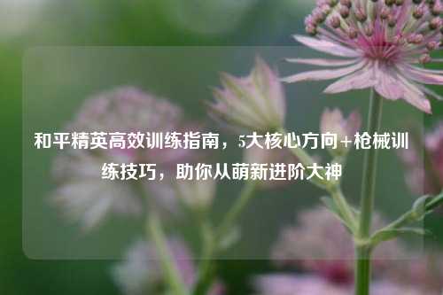 和平精英高效训练指南，5大核心方向+枪械训练技巧，助你从萌新进阶大神