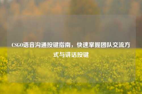 CSGO语音沟通按键指南，快速掌握团队交流方式与讲话按键