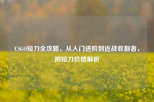 CSGO短刀全攻略,从入门进阶到近战收割者,附短刀价格解析