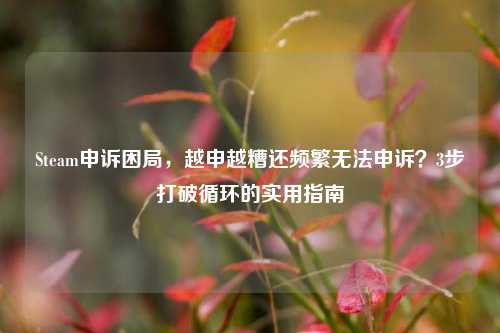 Steam申诉困局,越申越糟还频繁无法申诉?3步打破循环的实用指南