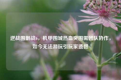 逆战围剿战6,机甲围城热血突围需团队协作,如今无法游玩引玩家遗憾