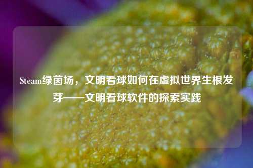 Steam绿茵场,文明看球如何在虚拟世界生根发芽——文明看球软件的探索实践