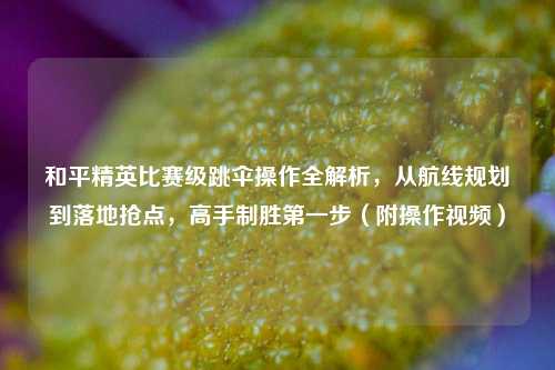 和平精英比赛级跳伞操作全解析,从航线规划到落地抢点,高手制胜之一步(附操作视频)