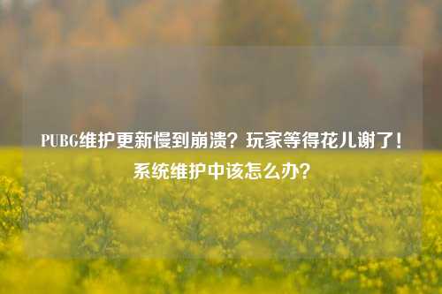 PUBG维护更新慢到崩溃?玩家等得花儿谢了!系统维护中该怎么办?