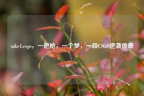 sake1.csgo,一把枪,一个梦,一段CSGO逆袭传奇