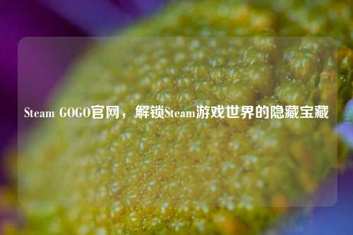 Steam GOGO官网,解锁Steam游戏世界的隐藏宝藏