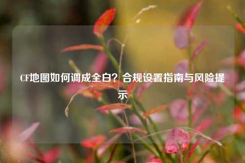 CF地图如何调成全白？合规设置指南与风险提示