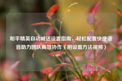 和平精英自动喊话设置指南,轻松配置快捷语音助力团队高效协作(附设置 *** 视频)