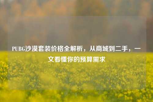 PUBG沙漠套装价格全解析,从商城到二手,一文看懂你的预算需求