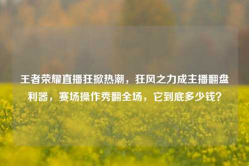 王者荣耀直播狂掀热潮,狂风之力成主播翻盘利器,赛场操作秀翻全场,它到底多少钱?