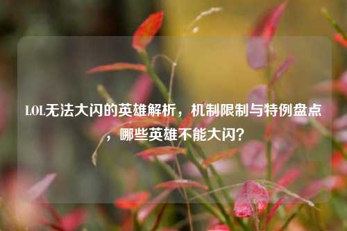 LOL无法大闪的英雄解析,机制限制与特例盘点,哪些英雄不能大闪?