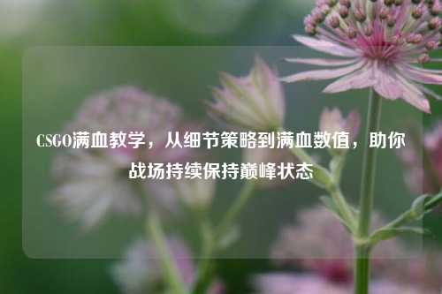 CSGO满血教学,从细节策略到满血数值,助你战场持续保持巅峰状态