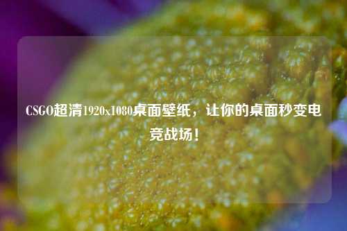 CSGO超清1920x1080桌面壁纸,让你的桌面秒变电竞战场!