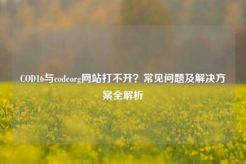 COD16与codeorg网站打不开?常见问题及解决方案全解析
