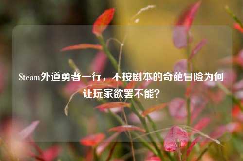 Steam外道勇者一行,不按剧本的奇葩冒险为何让玩家欲罢不能?
