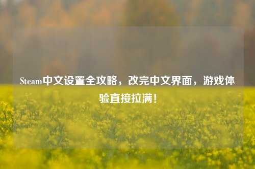 Steam中文设置全攻略,改完中文界面,游戏体验直接拉满!