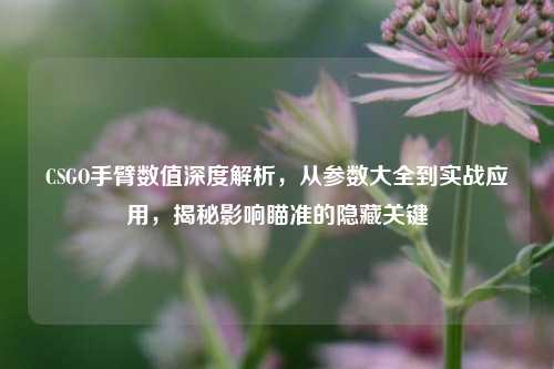 CSGO手臂数值深度解析,从参数大全到实战应用,揭秘影响瞄准的隐藏关键