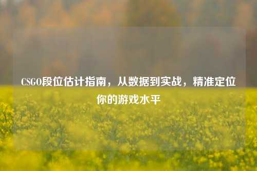CSGO段位估计指南,从数据到实战,精准定位你的游戏水平
