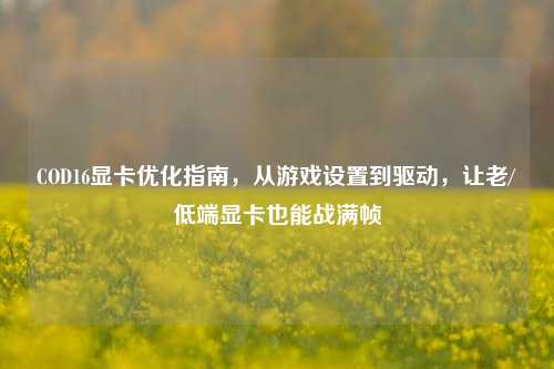 COD16显卡优化指南,从游戏设置到驱动,让老/低端显卡也能战满帧