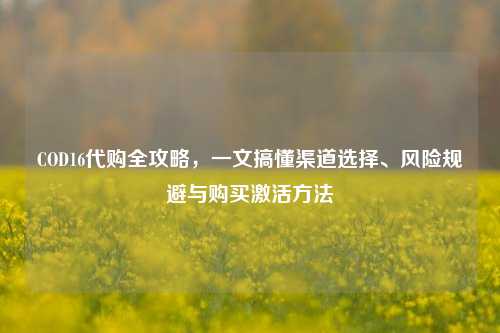 COD16 *** 全攻略,一文搞懂渠道选择、风险规避与购买激活 ***