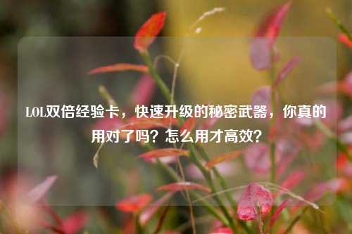 LOL双倍经验卡,快速升级的秘密武器,你真的用对了吗?怎么用才高效?